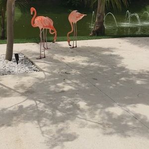 Meet your Posher, Karla